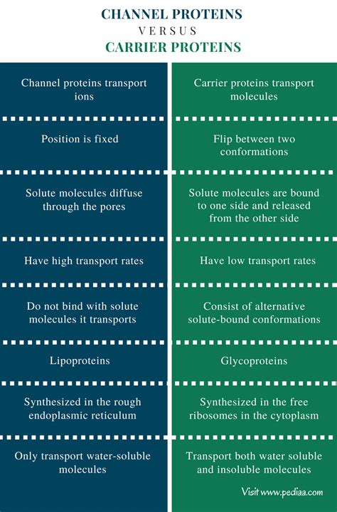 difference between carrier and channel